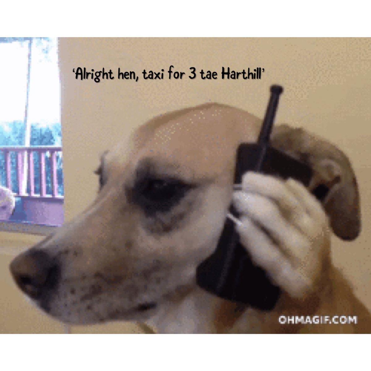 H2theANS's tweet photo. Sometimes i sit and laugh at maself https://t.co/bJxmCVmyS6