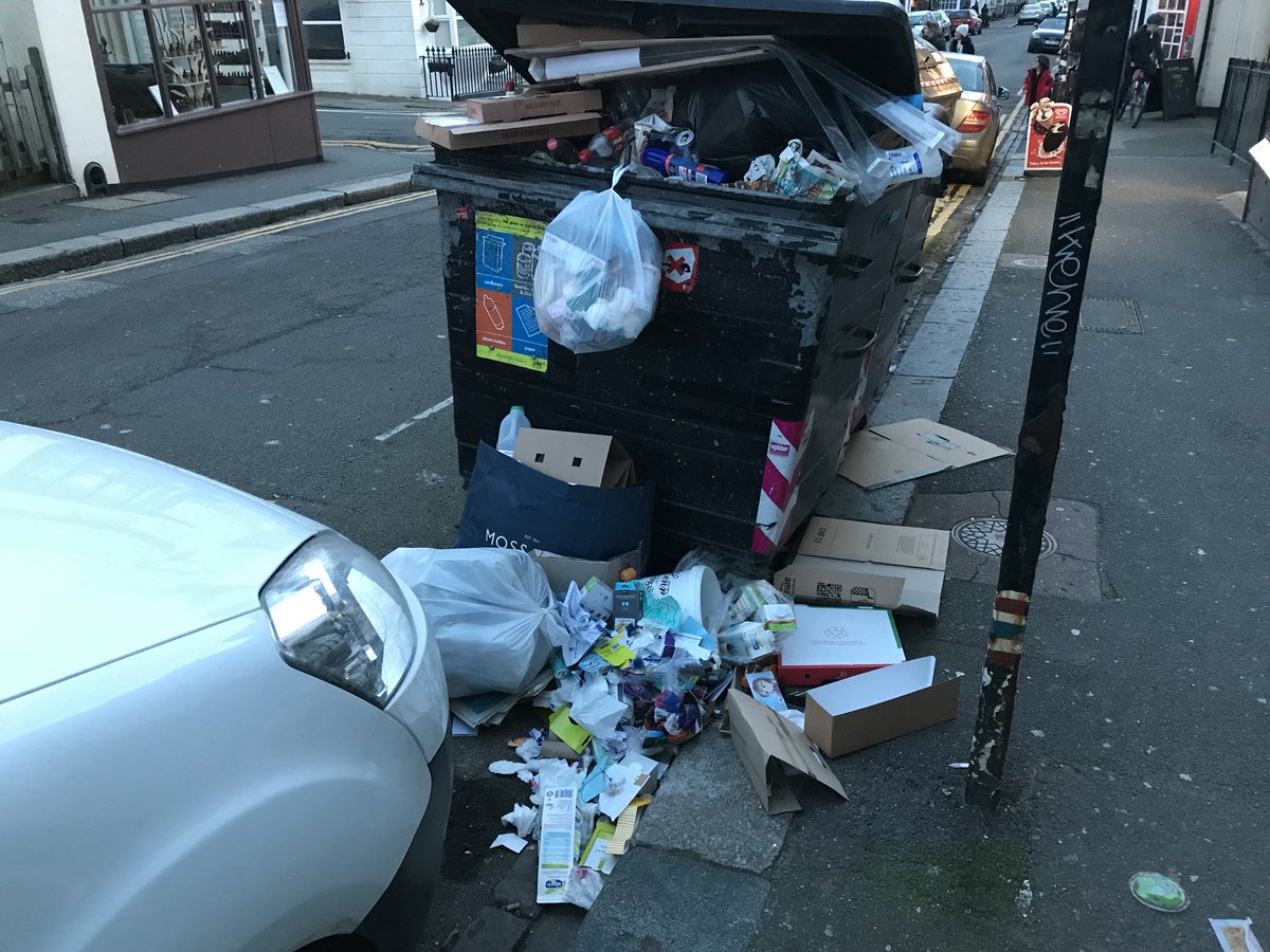 Brighton Bins (BinsBrighton) Twitter