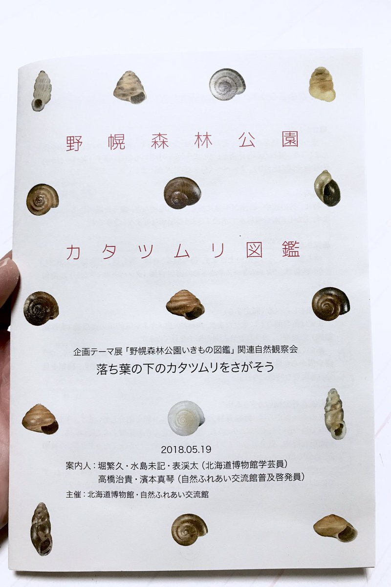 北海道博物館 野幌森林公園カタツムリ図鑑 いきもの図鑑 ではなく 明日の観察会のテキストで 参加者だけがもらえます 学芸員がつくった 北海道博物館の完全オリジナル これさえあれば 野幌森林公園で確認されている陸貝16種が だいたい