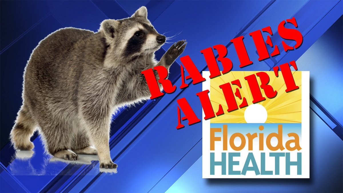 #BREAKING Rabies alert issued for Kendall area by Fla. Dept. of Health bit.ly/2wPy0bW?utm_so… https://t.co/qMu9bAqIvU