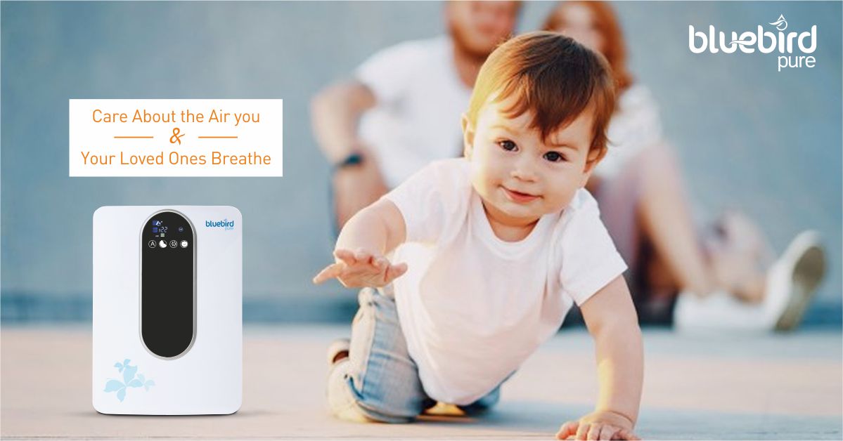 BluebirdPure's tweet image. Care about the air you and your loved ones breathe with Bluebird Air Purifiers
#BreathePure #BreatheLife #bestairpurifier #AirPurifier

bit.ly/2F40TQM