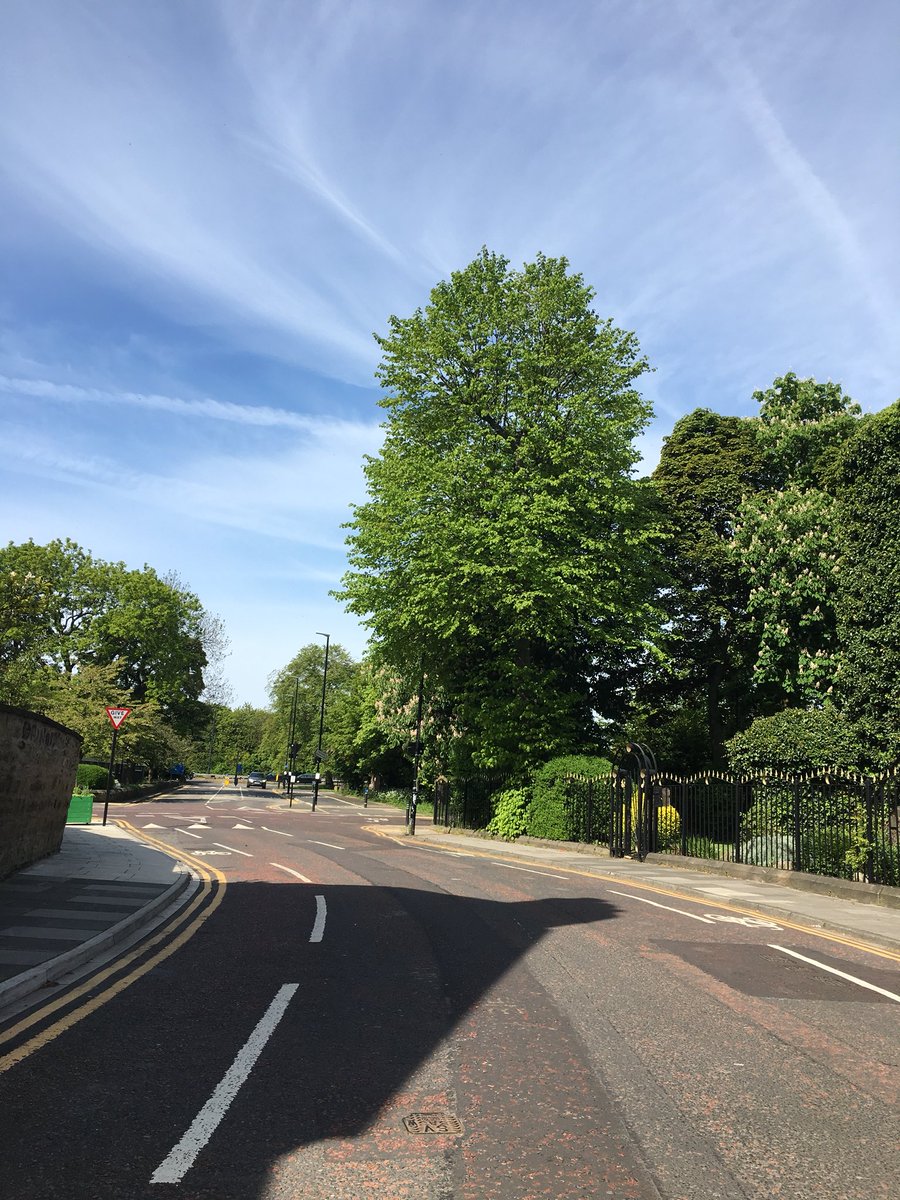 Willis_Cafe's tweet photo. The roadworks are finally finished and Clayton Road is open both ways to traffic again.  #hooray https://t.co/Hg4Yvor4Dx