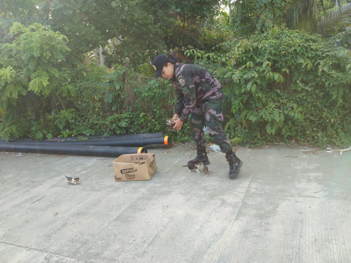 APPSC_APPO's tweet photo. #PNPGoodDeeds
#OCAChallenge
PO1 Angelica R Flores, assistant PCR PNCO, unexpectedly found abandoned kittens outside the camp vicinity and kept the said on a box to secure them and brought straight inside the camp. https://t.co/vP7DiJ61fI