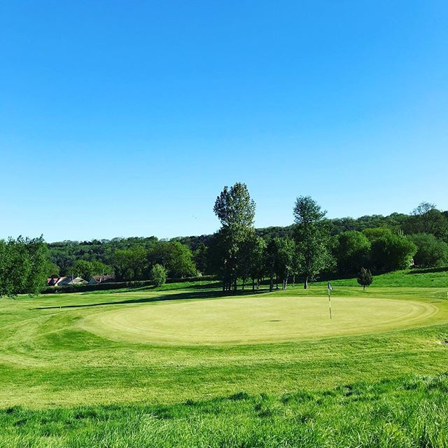 Tall Pines Golf Club tweet media