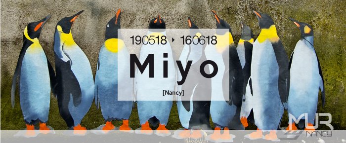cc_stsebastien's tweet photo. #Événement : Demain, #LeMurNancy clôture sa troisième saison ! Rendez-vous place Charles III à 17h pour le vernissage de l’œuvre de #Miyo 🎉 https://t.co/GbGmqB9pVj https://t.co/ycLEkKiJKa