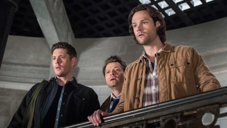 All_Screens's tweet photo. #SeriesTime #GoodbyeArrow #GoodbyeSupernatural #GoobyeGotham ¡Comienza el fin de semana y llega la hora de decir adiós a muchas de las series de los viernes! ¡Y, hoy se emiten las #SeasonsFinale de #Arrow, #Supernatural y #Gotham junto a un nuevo capítulo de #Siren, entre otros! https://t.co/8OR5Aj7fJg