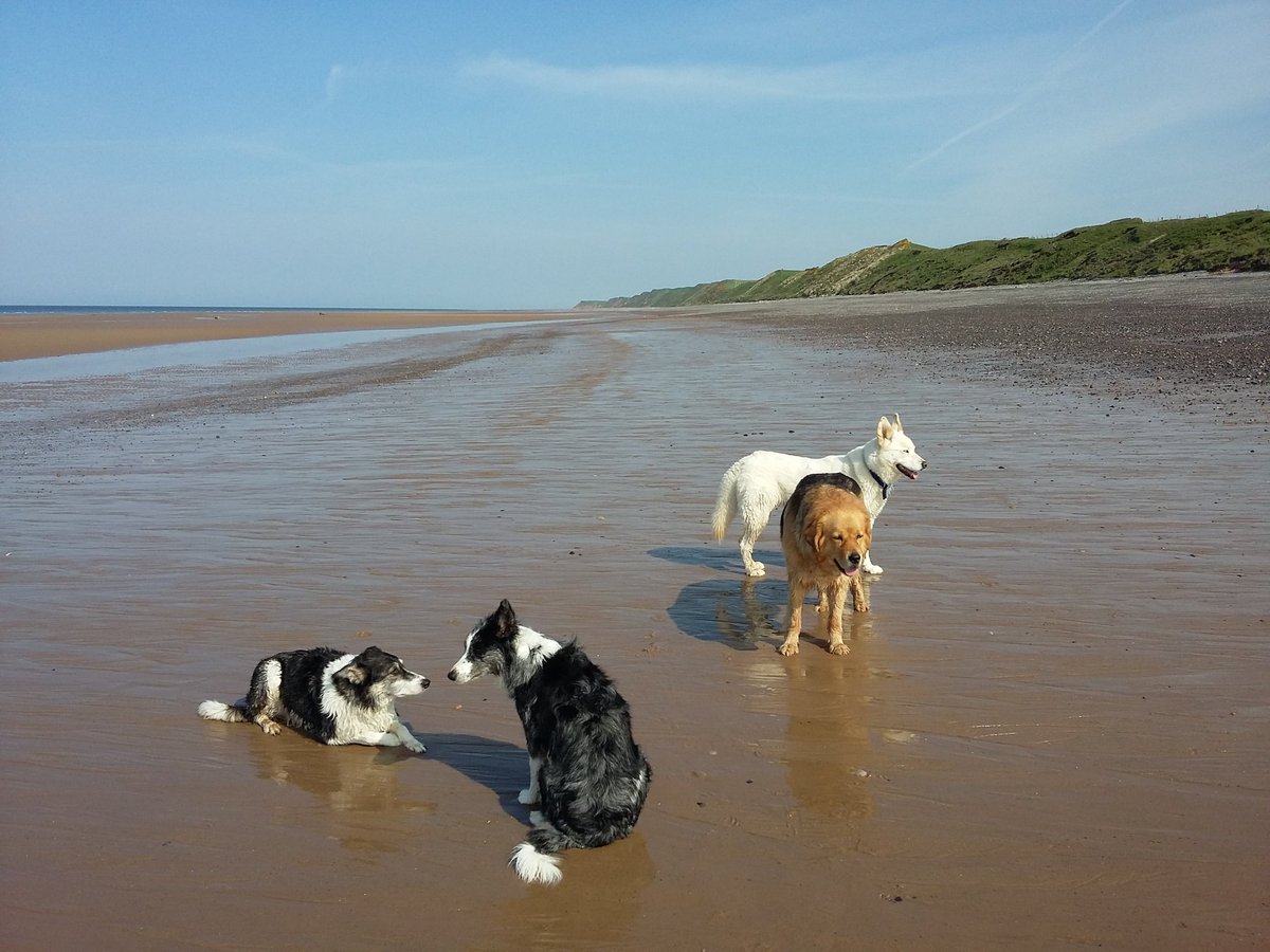 TheWaysideUK's tweet photo. Nice stroll on the beach this morning #silecroft #Cumbria #NotJustLakes #lakedistrict https://t.co/afx3igPVWH