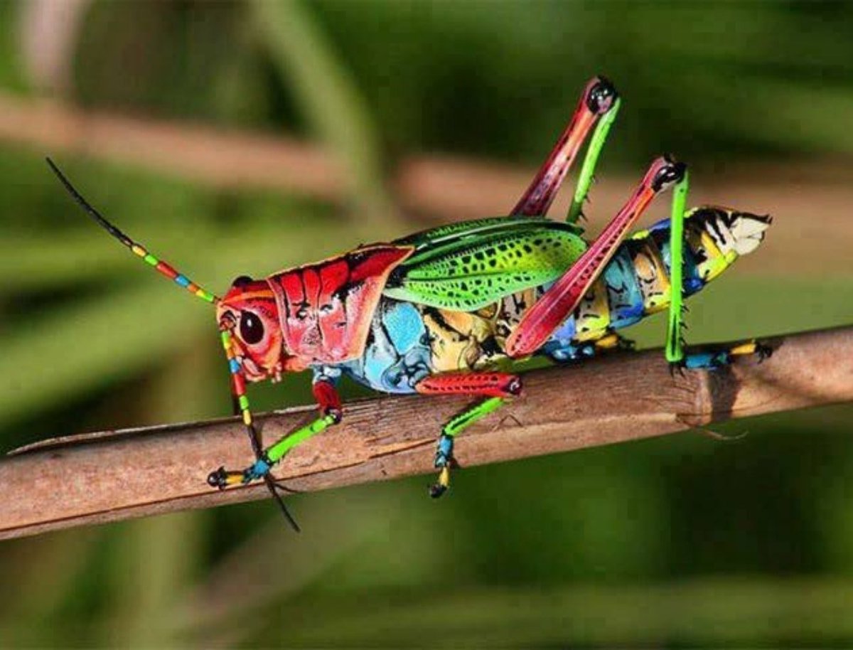 PLawJr's tweet image. God's humor . . .