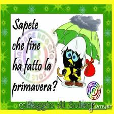 LoryBudano2's tweet photo. #lipogiro +o
#innesto 
Preciso
Per soci
Tra soci
Patto
#reciso 
Taglio
Netto
No (alla)
#forzatura 
Dannosa-o ☝ @paolaxmi https://t.co/MD61Hj9qI8