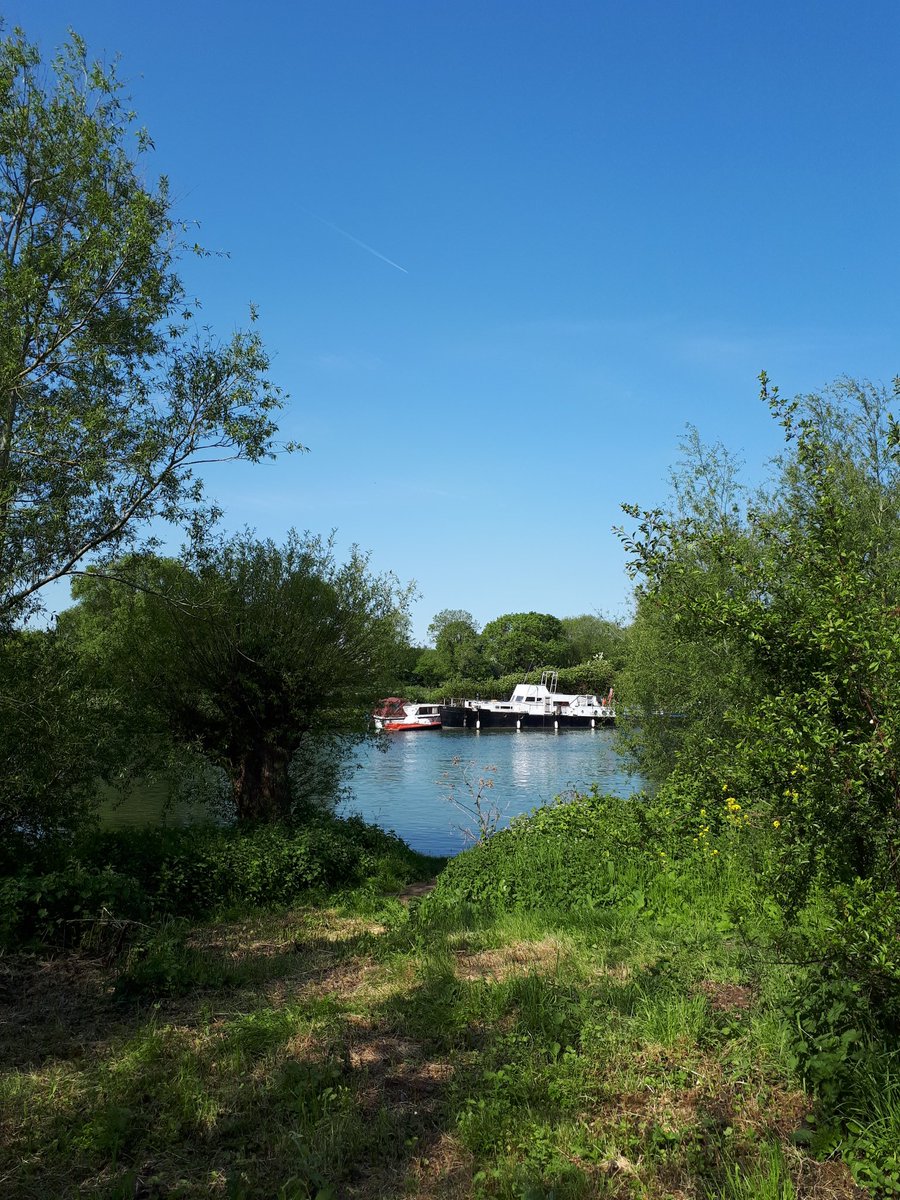 carlamayday's tweet photo. "Everyone you will ever meet knows something you don't" - Learnt a lot about nature from someone I work with during another fab walk &amp; talk coaching session through the tranquil Kidneys Nature Reserve-We can all learn from each other! @MaydayTrust #equals #pts #plscanwegetaboat https://t.co/hwKLGVk88B