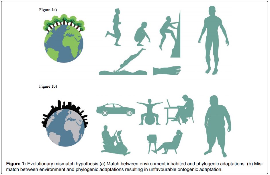 Opinions are like arseholes; everyone has one and most of them stink but not this one! Scientific opinion piece. Evolutionary mismatch hypothesis. International Journal of Sports and Exercise Medicine clinmedjournals.org/articles/ijsem…