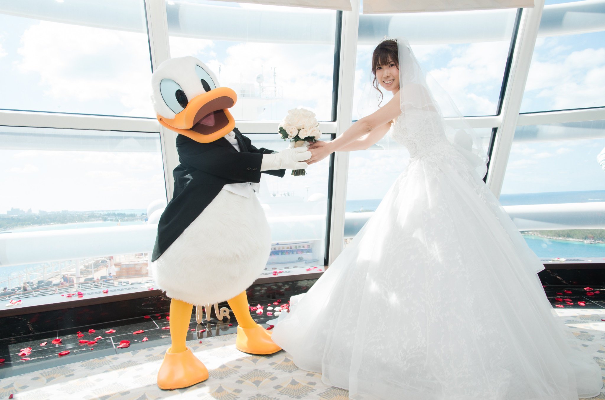 ディズニー クルーズ 結婚 式 ニコニコ 静止 画 イラスト