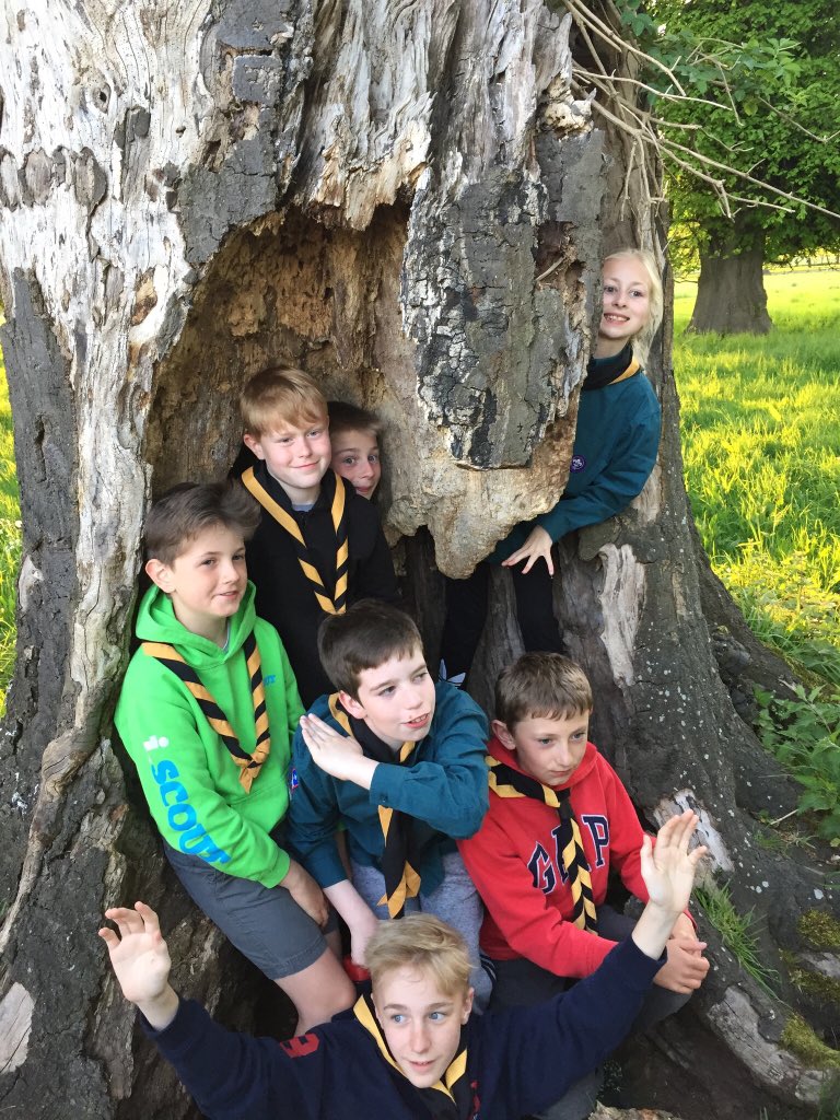 13th Carlisle Scout Group tweet media