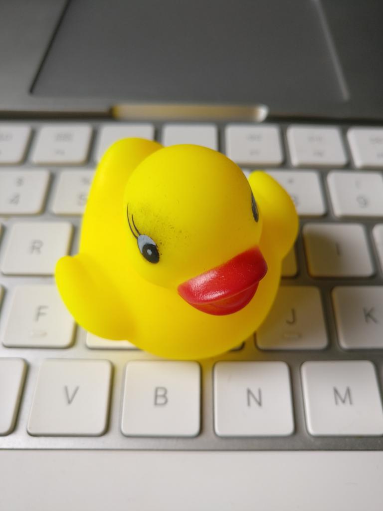 czaszo's tweet photo. Time for some serious duck talk.. #doublenegation https://t.co/QMAJGvlBkr