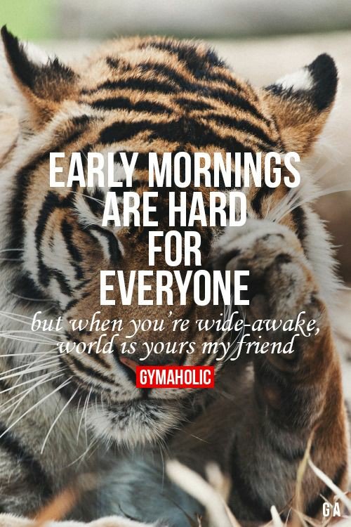 TribeIncredible's tweet photo. #5amwritersclub #GoodMorning #WritersLife #NoDistractions #amwriting #LiveUpToYourOwnExpectations https://t.co/htBb0xPcTH