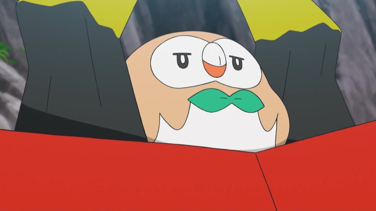 なっと 昨日のアニポケのモクローの表情最高にすこ なっと 昨日のアニポケのモクローの表情最高にすこ