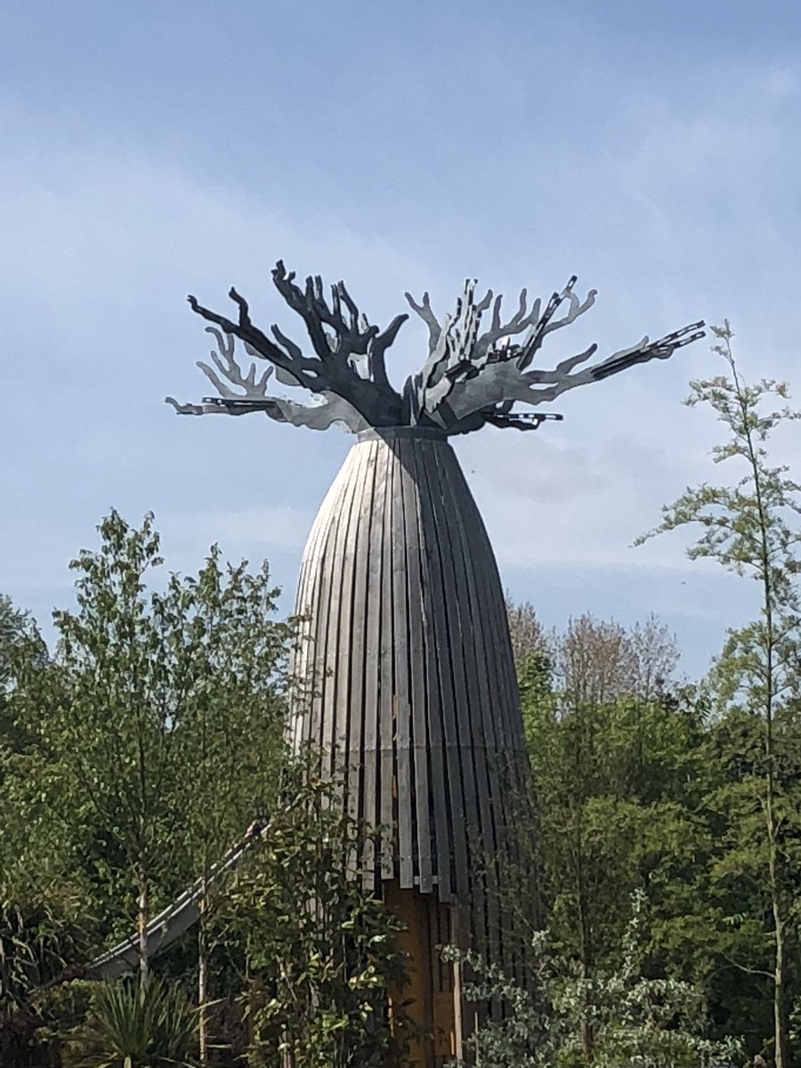 LHSArtandDesign's tweet photo. @chesterzoo Bush dogs baobabs.... baby elephants and boys monkeying around! @MrBalfourLHS @MrsHowieLHS @LHSresidentials #lhsres18 https://t.co/PUGBZOt8zV