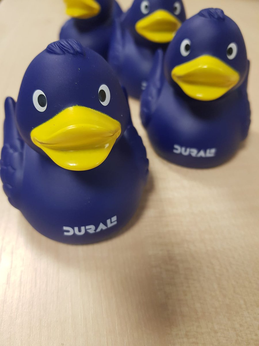 Dural_UK's tweet image. The Dural ducks have landed! And they all need good homes. Adopt yours today by retweeting and PM your address to us. All in support of #EndangeredSpeciesDay #FridayFeeIing #Fridayfun limited stocks so be quick! 👍🐦🐤
