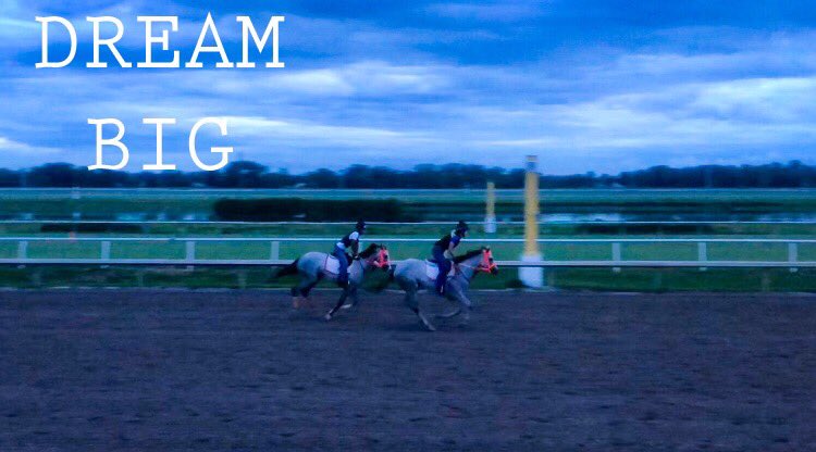 TropicalRacing tweet media