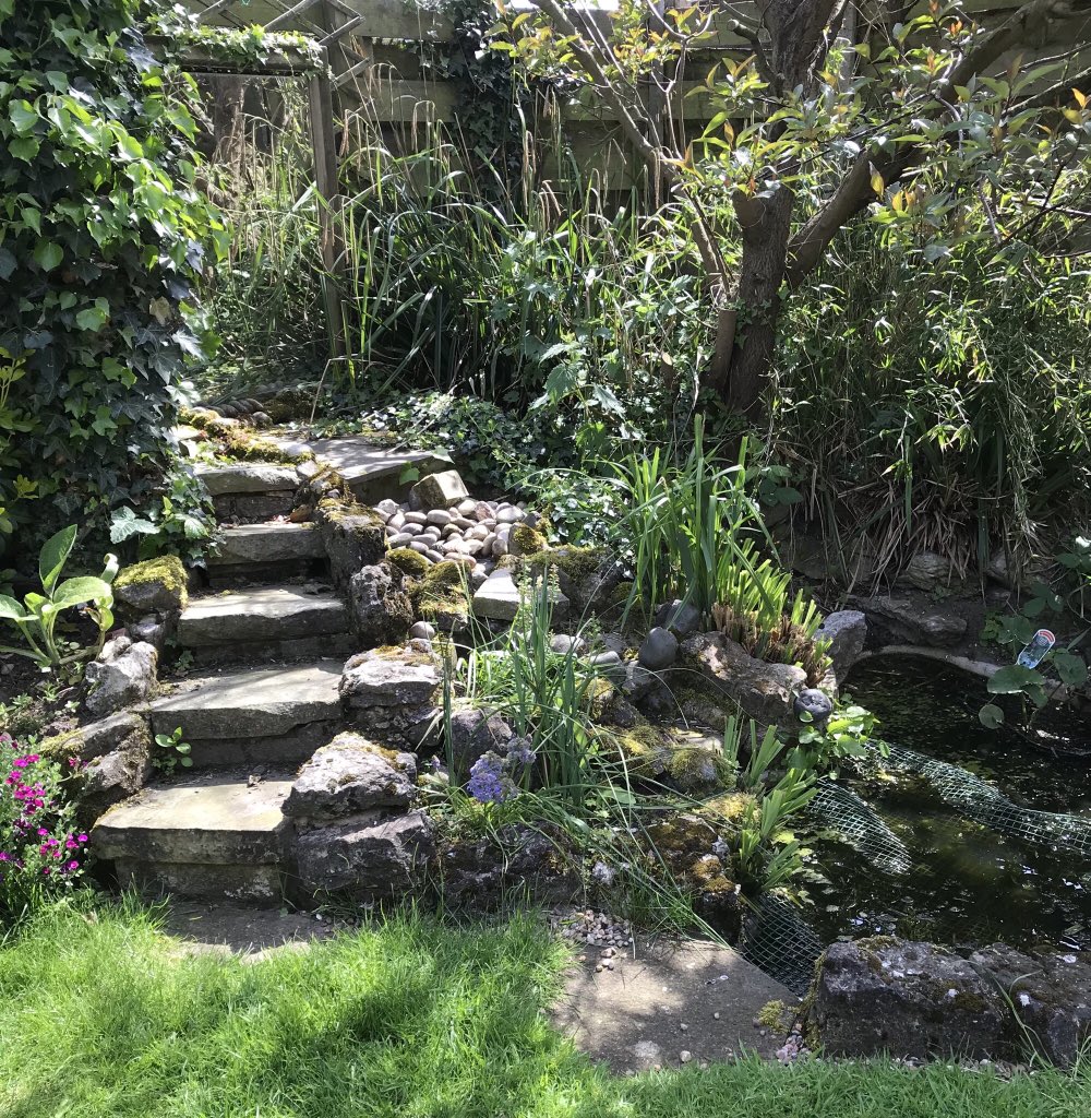 maidment_jeremy's tweet photo. A tranquil part of the garden. #tranquility #garden #shadyspots #ponds #sunshine #springtime https://t.co/sP2SCjwJyN