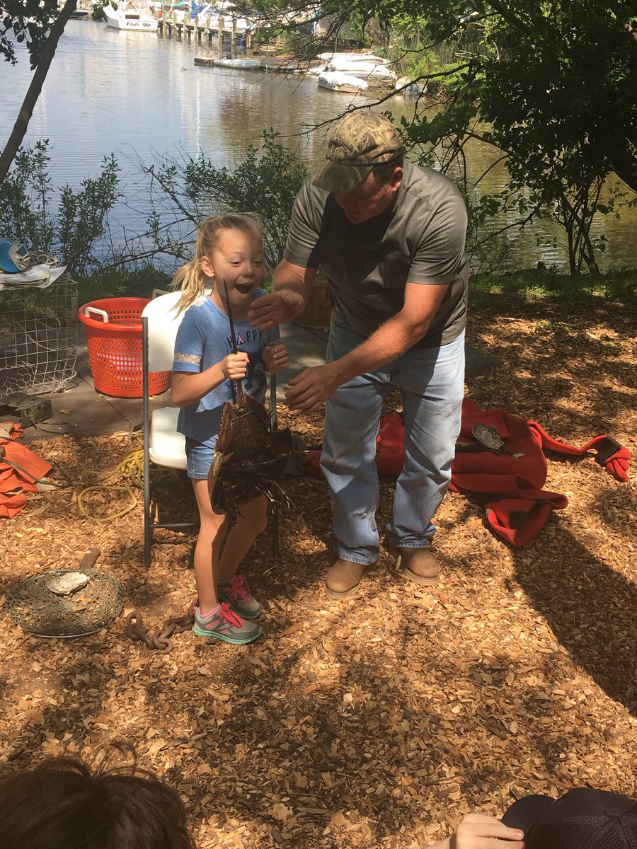 Hands on Learning <a href="/HillsmereESAACP/">HillsmereESAACPS</a>  #HillsmereisGreat