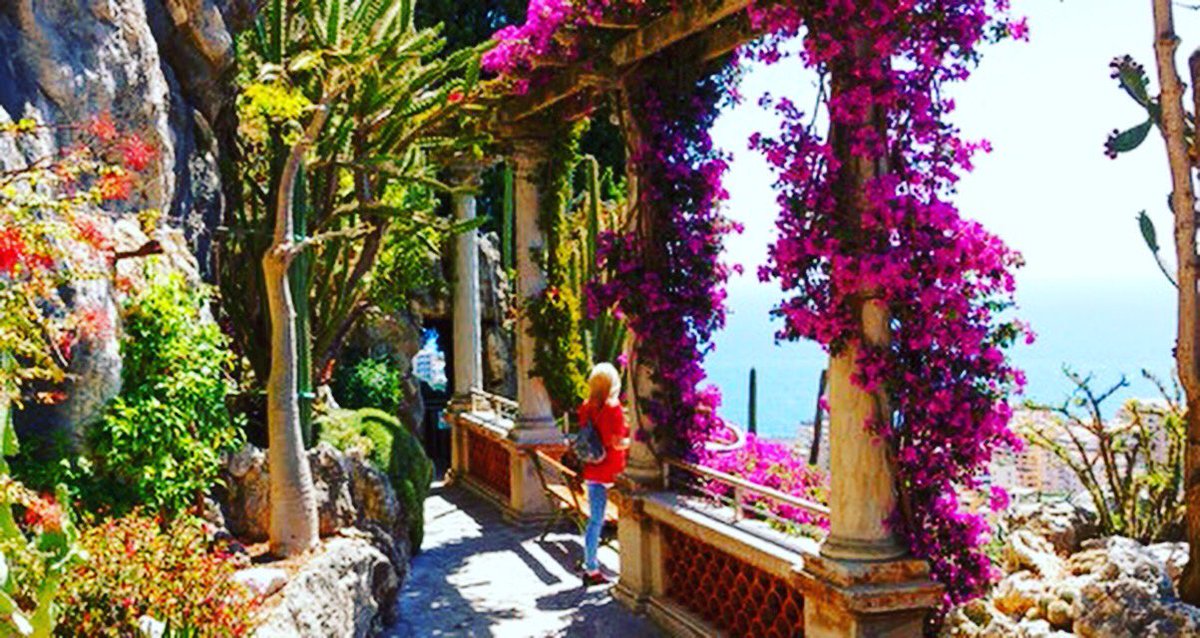 heli_events's tweet photo. Explore 📸 all about Monaco 🇮🇩#longweekend #heli_events #picoftheday #monaco #montecarlo #monacopackage #journey #explore #daytripmonaco #jardinexotique #jardinexotiquedemonaco #packagemonaco #package #privatevisit #limousines #helicopter #heliairmonaco #lunch #accommodation https://t.co/9GNrvo8OAY