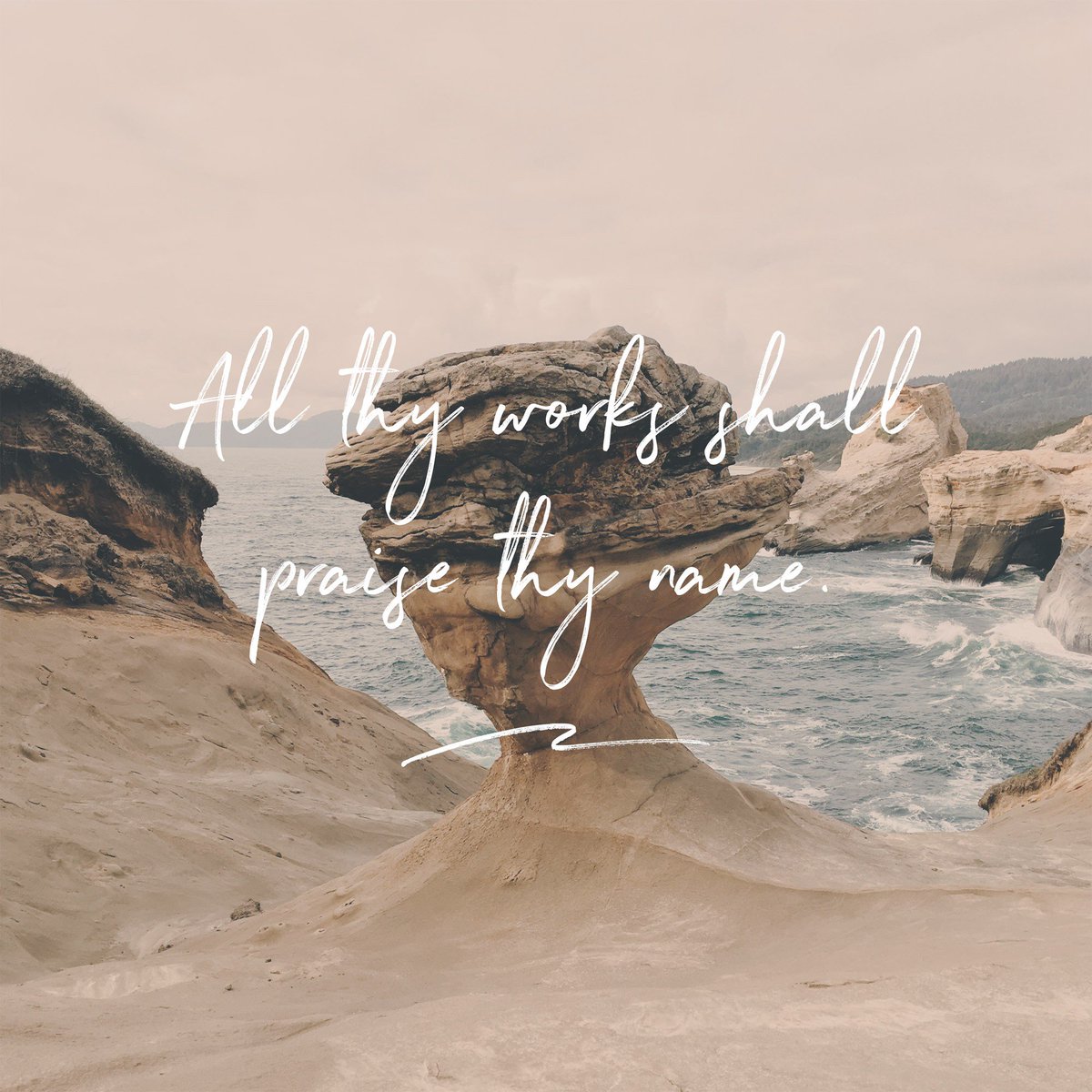 FBC Wichita Falls tweet media