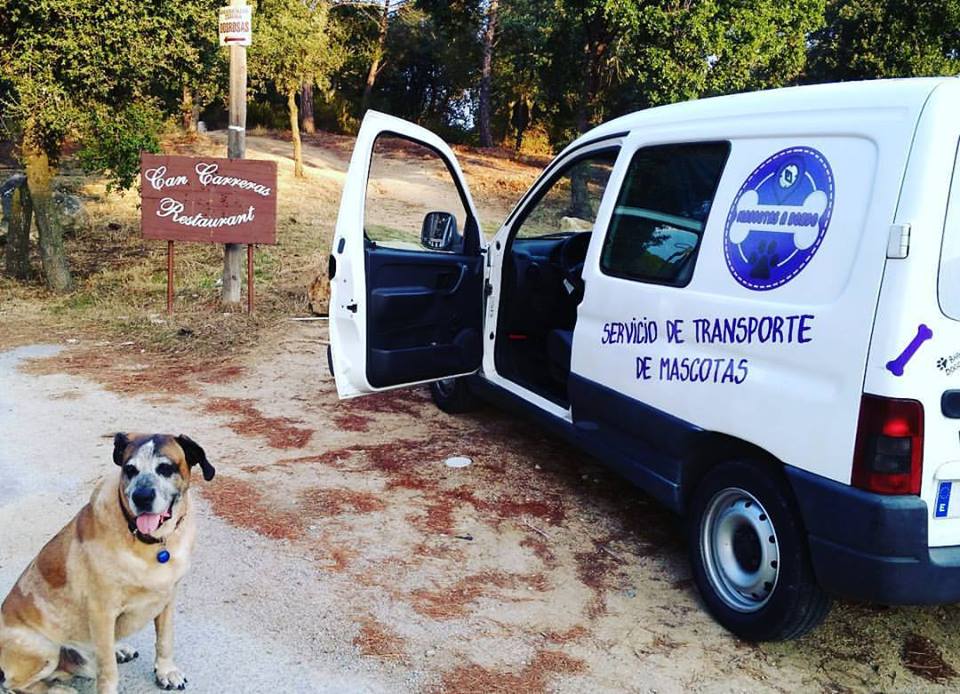 TRANSPORTE MASCOTAS BARCELONA puerta a puerta: -Veterinario, Aeropuerto, Peluquería,Trayectos urbanos. Te llevamos donde quieras!!!