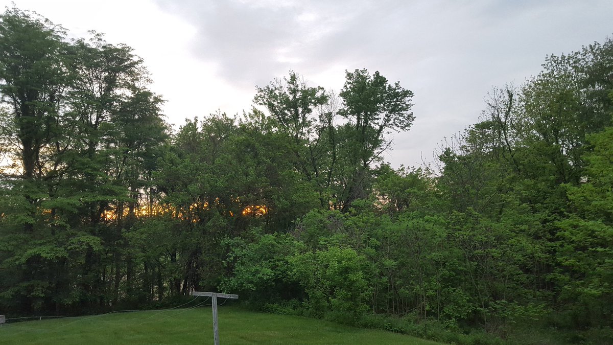 #TodaysSunrise reveals the change of the green landscape. Yesterday was a bad day for me. #SickterScale was 3. Today is a new day for us. Thank you @SickNotWeak Community for being there for me. Know that I am here for you.

#MentalHealthAwareness 
#SickNotWeak b/c #ChangeIsHope