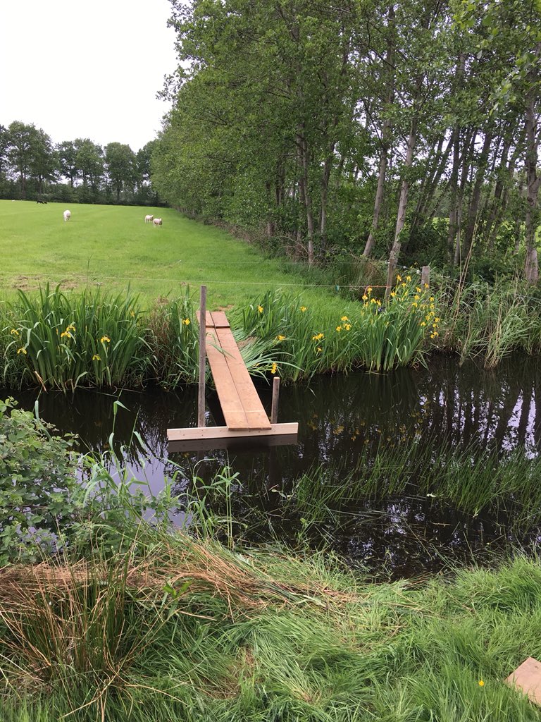 zendingsfeest's tweet photo. Vanavond Survival Pinksterfeest Veenklooster. 2Sam22:30; Met God spring ik over de ... Met dergelijke hindernissen brengen we de bijbel in praktijk!🙂 https://t.co/OJ1Nb5uLOo