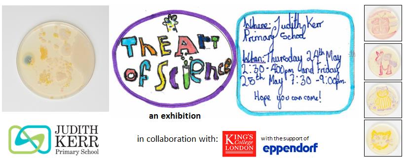 Judith Kerr Primary tweet media