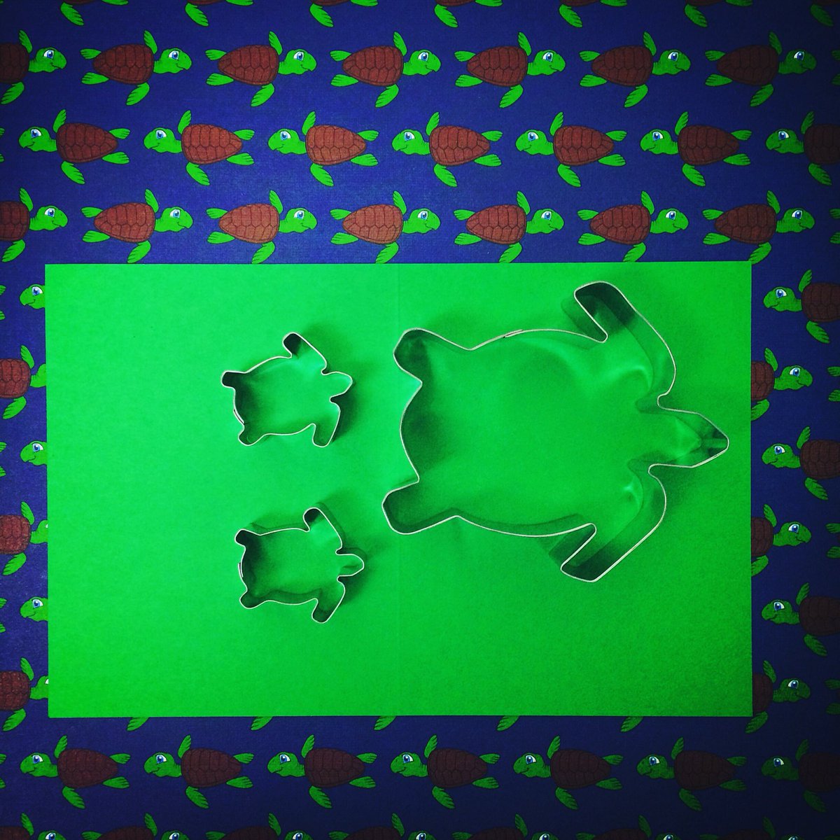 cookiecuttercom's tweet photo. Sea turtle love💚 #seaturtles #cookiecutters #cookiecuttercom https://t.co/XMbvdPM1cJ