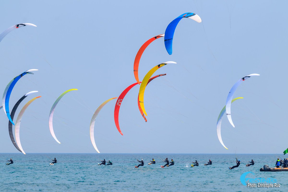 Festikite tweet media
