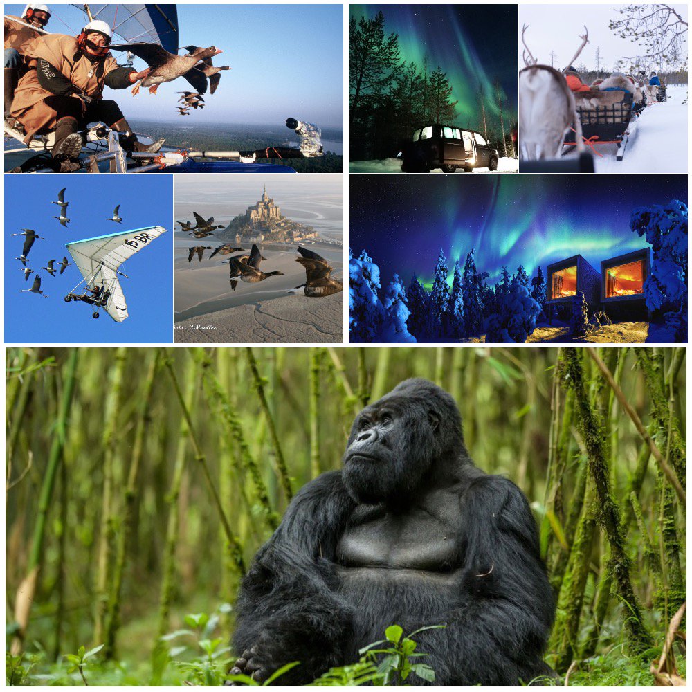We have some awesome auction adventures lined up for this year's ApolloCelebrationGala.com Which one will you bid for?
(Thank you donors The SomeWhere Club and Wild About Lapland!)