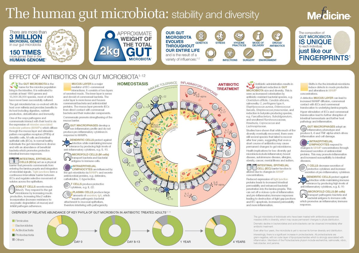 DormMedics's tweet photo. Total weight of Gut Bacteria : 2 Kg https://t.co/W2xG3TYxqj