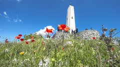 Zobacz obraz na Twitterze