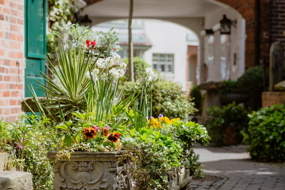 Greyhound Inn tweet media