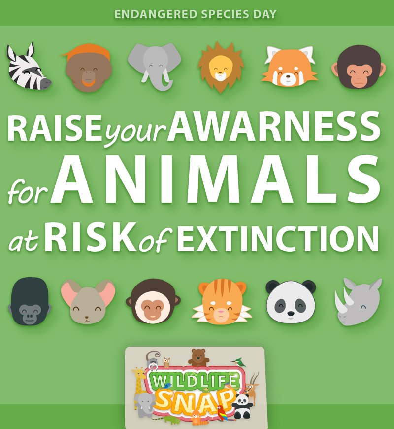 WildlifeSnap's tweet photo. Have fun and learn something this #EndangeredSpeciesDay with #WildlifeSnap! #wildlife #savewildlife #indiegame #gamedev #iosdev #SaveTogether #EndangeredSpecies https://t.co/KMSiGsOLWH