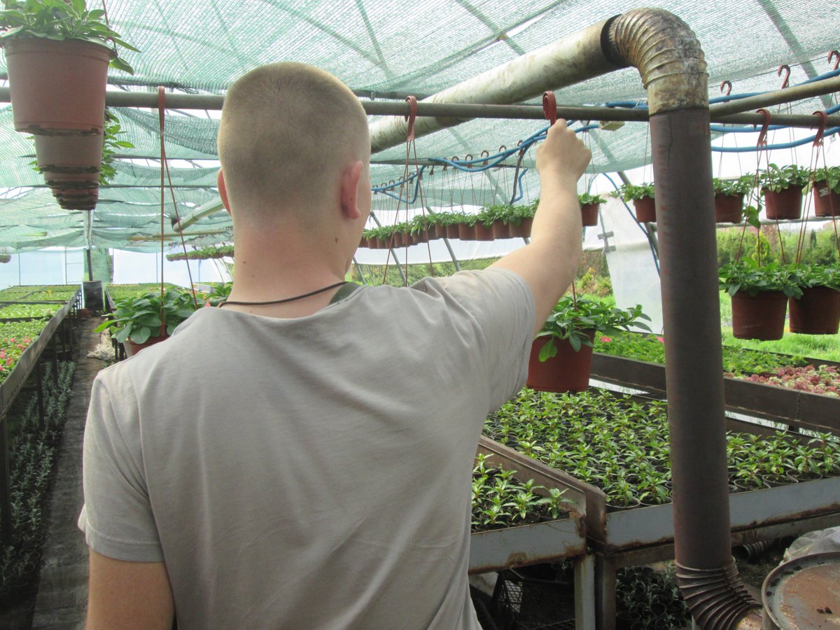 Da li uzgajanje cveća može biti alternativa kriminalu i kako se u jednom plasteniku štićenicima Vaspitno-popravnog doma kroz #E2E obuku nudi šansa za novi početak u životu - istražuje Jelena Božović. Priča vodi direktno u #Kruševac i čuveni "Sivi dom": bit.ly/ProcvetaoSiviD…