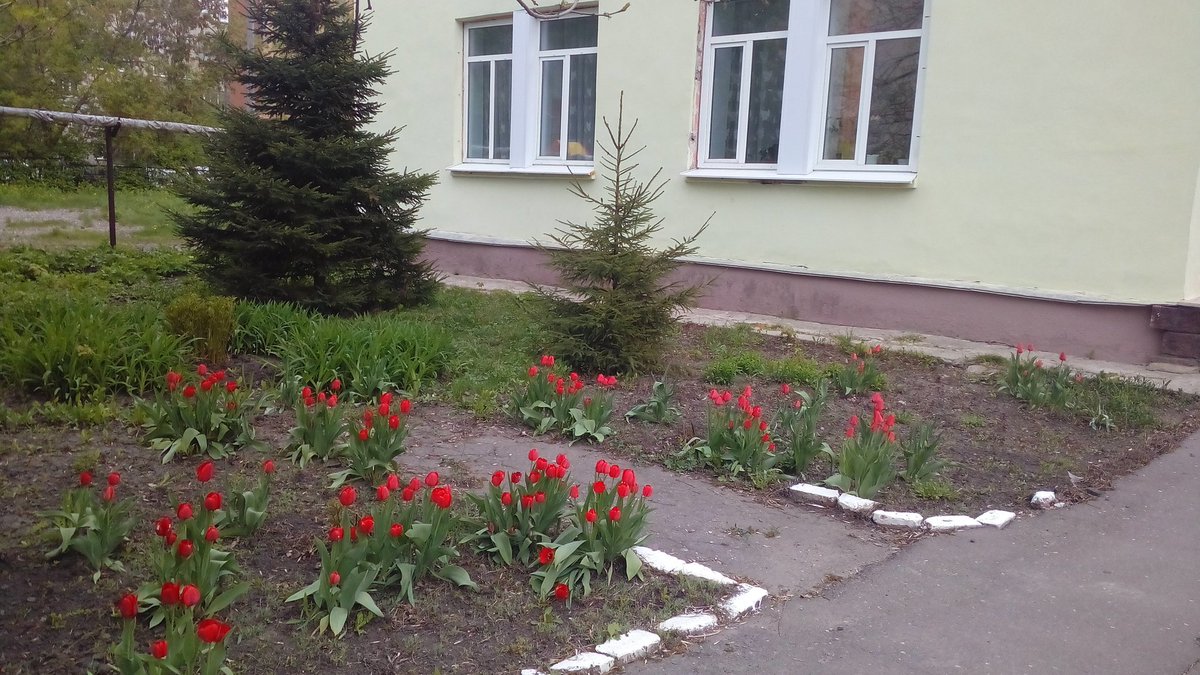 Санитарная пятница в ДМШ 5 г. Пензы! Косим траву, сажаем цветы. Результат стараний сотрудников на газонах!