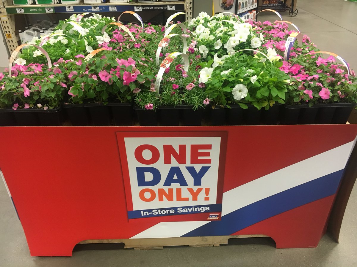 7Karthur's tweet photo. 🌺Lenoir City Home Depot is ready for the Deal of the Day! 12 pack annuals 2/$10 won’t last long at that price!🌺 #HD740 #vanwingerdenstyle @jaybisping @Jaydeckard @VWIGreenhouse @CamDaven https://t.co/4DdAlaunAZ