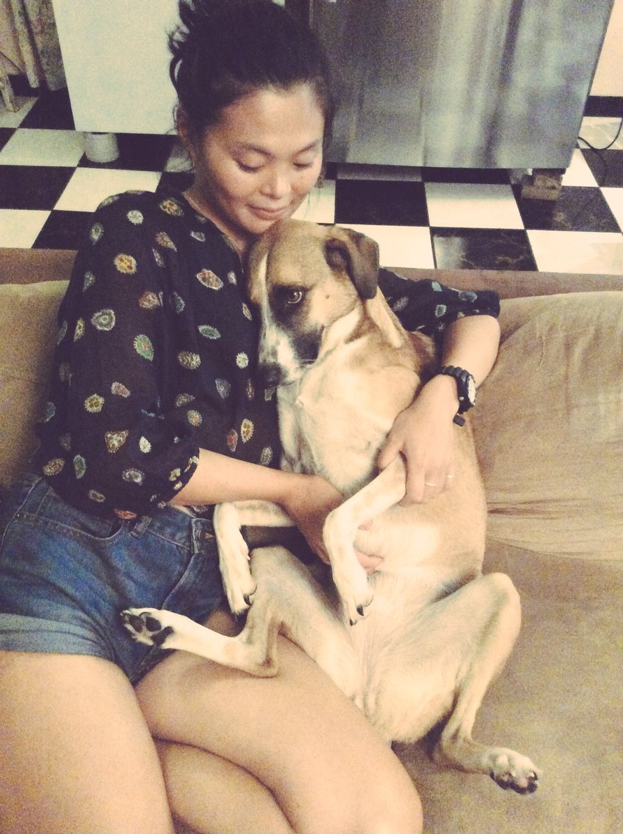 saribo_'s tweet photo. I can’t stop loving my 🐕 https://t.co/1c946j7r7M