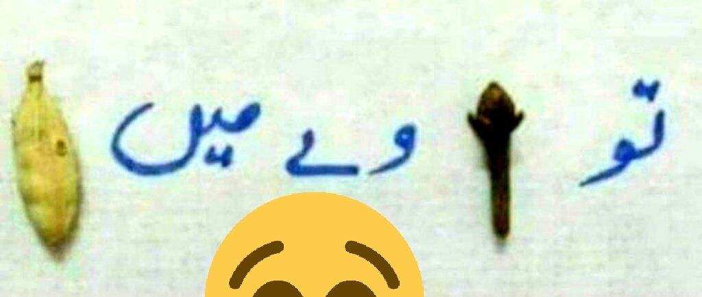 AmKinzaSyed's tweet photo. @rummanraees15 
Ye kia likha hua hy??? https://t.co/Z5ER2rZHlJ