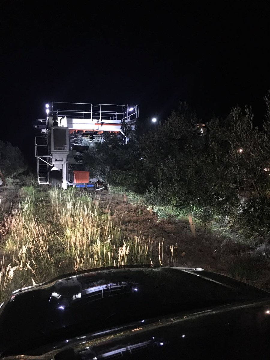 Greenleaf Olive Co. tweet media