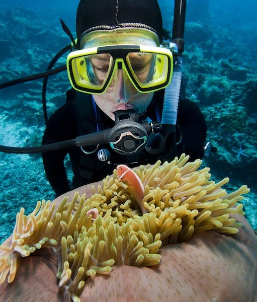 rateyourdive's tweet photo. 📸 Photo-Contest 📸 
Monday after next we will present
the dive region Maldives.🇲🇻 Send us your favourite underwater pic from the Maldives to: service@rateyourdive.com. The best get mentioned in our article and win a beautiful Dive Sticker package 😍 by: https://t.co/UZhdDDfrLc https://t.co/7WrQZUArfO