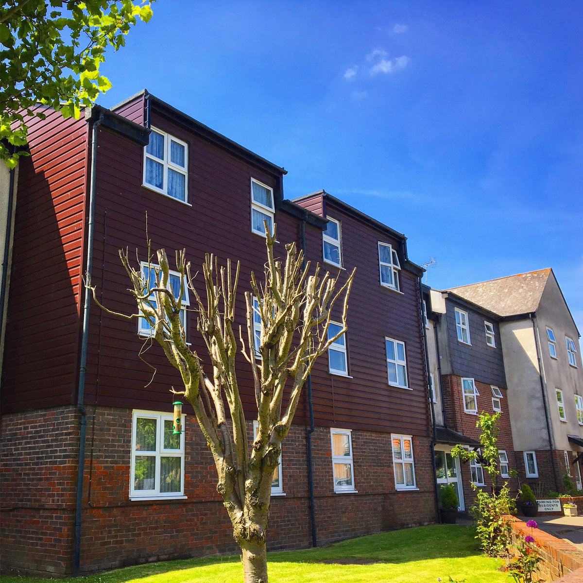 pogbrush's tweet photo. Regular Window cleaning for housing associations today. Beautiful day for it.
.
.
.
.
.
#pjr #countrylife #southend #external #Rayleigh #clean #windowsclean https://t.co/9yWzxvYkcG