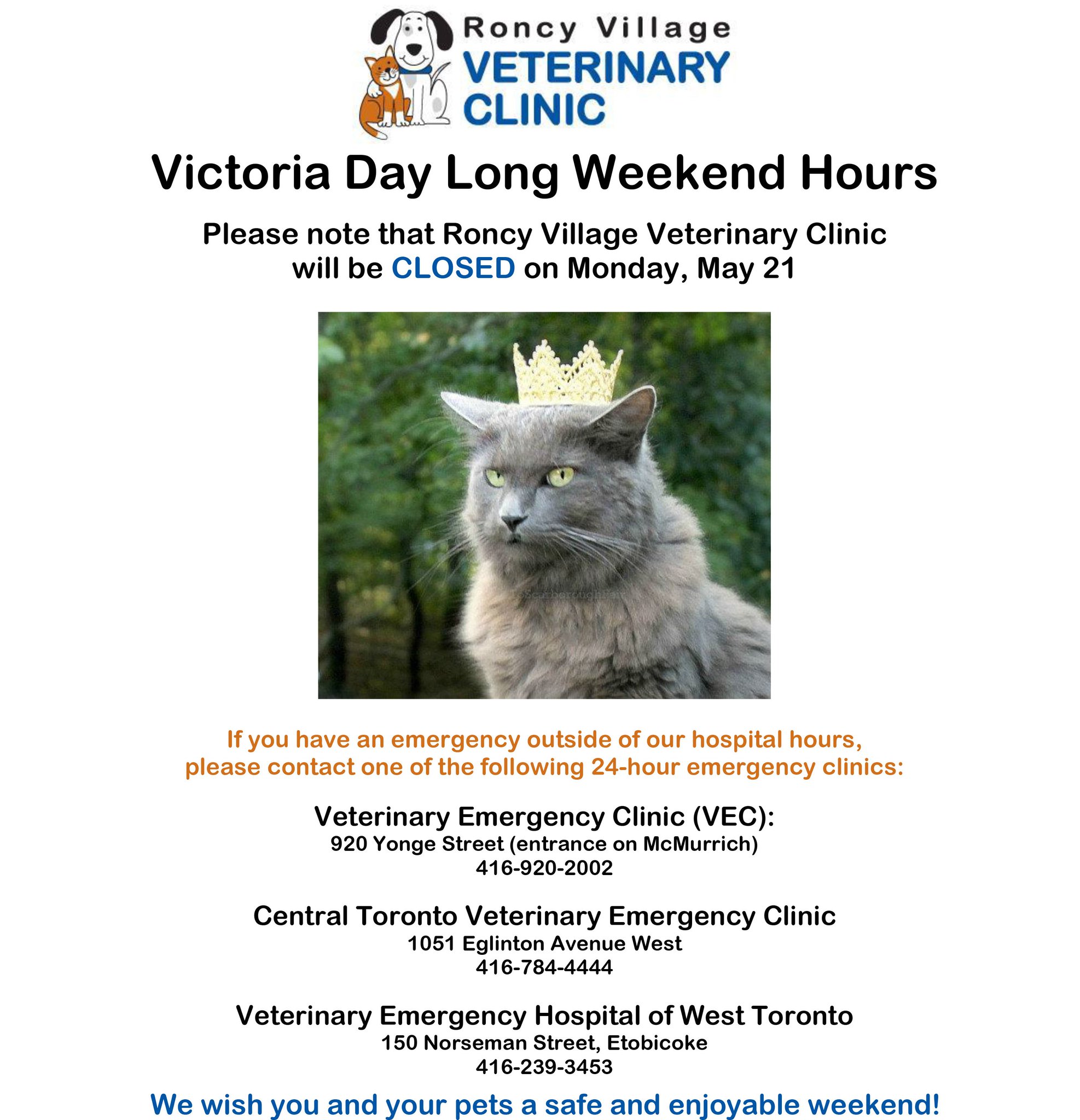 norseman animal hospital