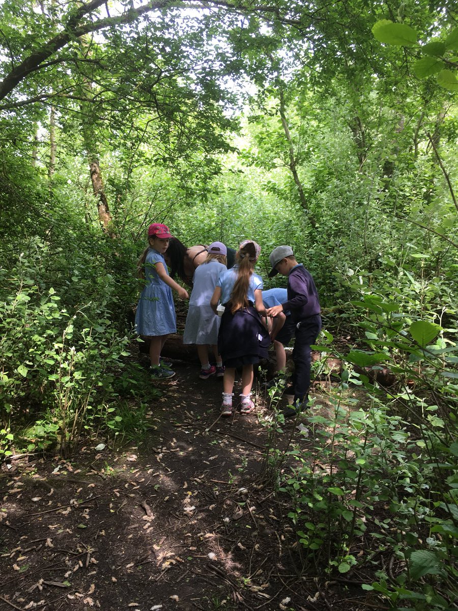 Year2StJos's tweet photo. More marvellous mini beasts! https://t.co/P1DG2ZBYmR