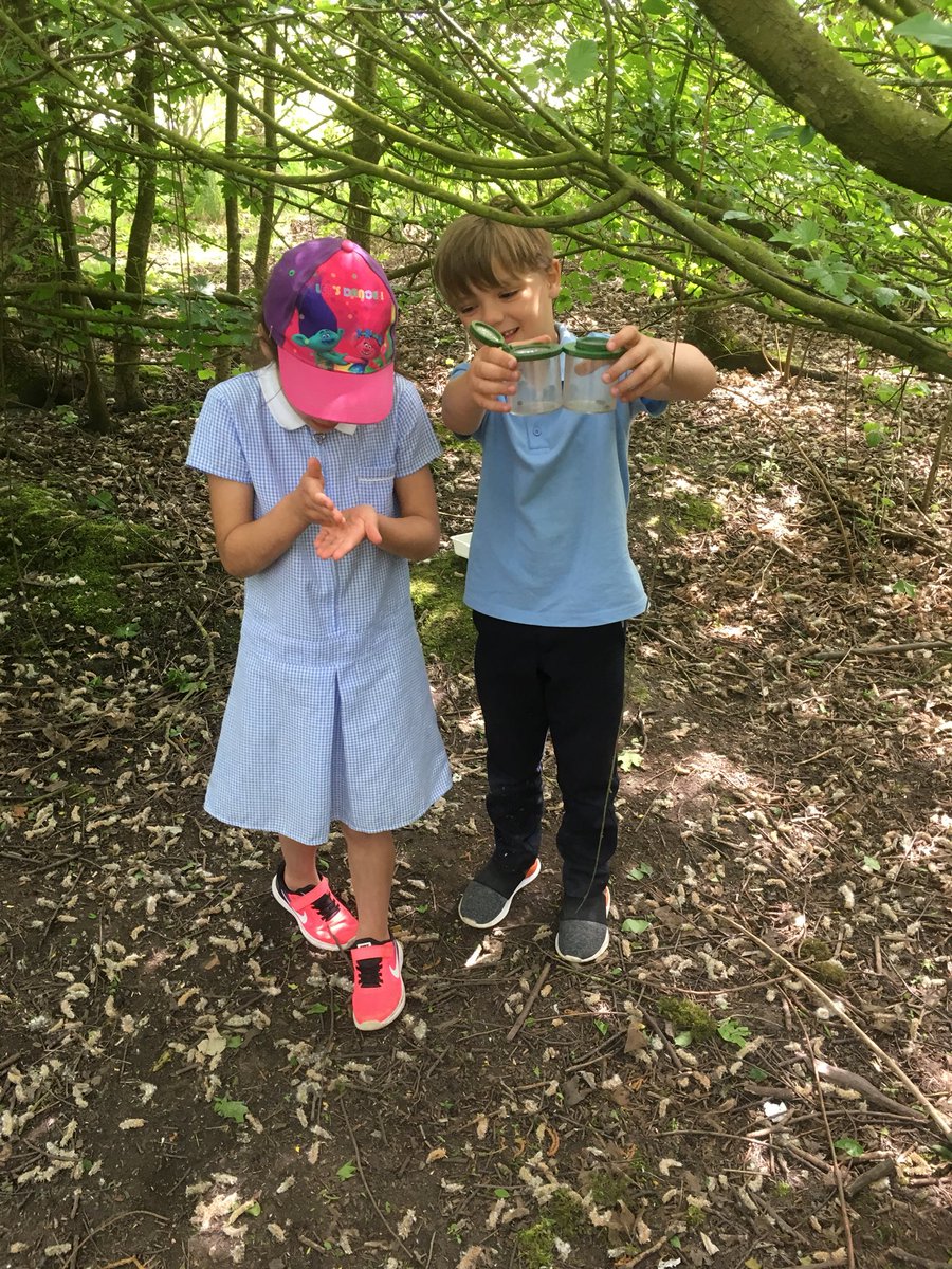 Year2StJos's tweet photo. Mini beast hunting now! https://t.co/QIxUfxINRS