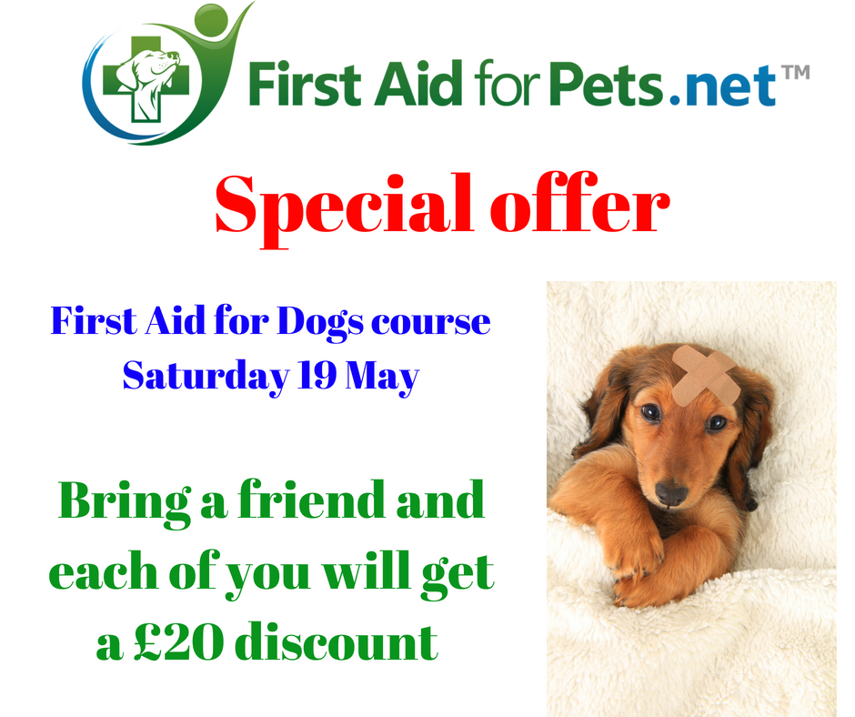 firstaidforlife's tweet photo. Dog first aid course tomorrow 2-5 in Balham #petfirstaid #dogs #FirstAid #alternativetoroyalwedding #saveyourpet #dogfirstaid #DoGreatThings https://t.co/L8CFCq1dIN